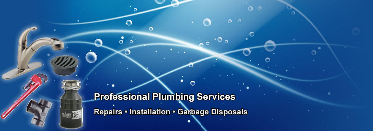 Professional Plumbing Services